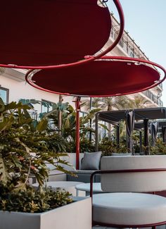 an outdoor seating area with potted plants and umbrellas