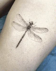 a small dragonfly tattoo on the leg