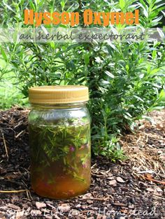 a jar filled with liquid sitting on the ground next to some grass and bushes in the background