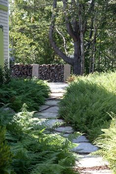 a stone path in front of a house surrounded by tall grass and trees with a fire hydrant on the side