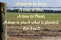 a time to be born, a time to die, a time to plant, a time to pick what is planted ec 3 v3