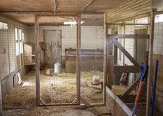 the inside of a chicken coop with hay on the floor and chickens in cages