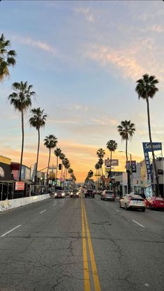 palm trees line the street as the sun sets