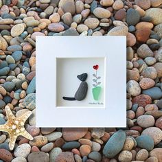 a small white frame with a cat and flower in it sitting on some rocks next to a starfish