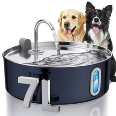 PRICES MAY VARY. 【7L/236oz Large Capacity】The dog water dispenser has a tank with generous water capacity that can meet the hydration needs of medium to large dogs for a week, reducing the frequency needed for water refills. 【Durable 304 Stainless Steel】Smartoo dog water bowl dispenser is made of 304 stainless steel, it is BPA-free, rust and corrosion-resistant, dishwasher-safe. Ensuring a clean and safe water source for your furry-kids. 【Visible Water Tank】The stainless steel pet water fountain Water Fountain For Dogs, Dog Fountain, Dog Water Fountain, Pet Fountain, Dog Water Dispenser, All Breeds Of Dogs, Dog Water Bowls, Cat Water Fountain, Pet Water Fountain