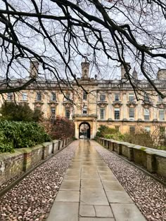 a walkway leading to a large building with trees in the foreground and cobblestones on both sides