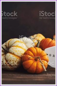 Miniature Pumpkins With GRATEFUL Message - MasterBundles Collage. Photo Site, Free Photo, Free Photos