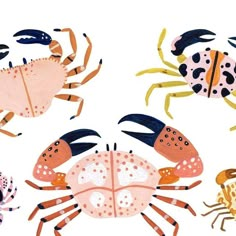 four colorful crabs and one crab are depicted in this hand - painted illustration on white paper