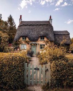 a house with a thatched roof surrounded by hedges