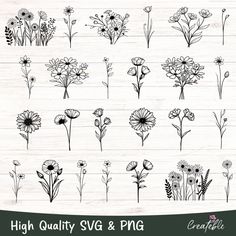 the high quality svg and png flowers are available for all kinds of projects