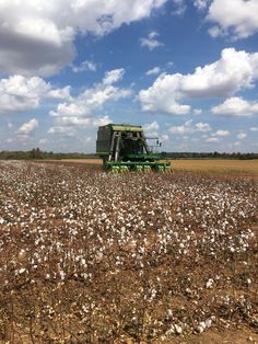 a tractor is driving through a cotton field with clouds in the sky over it and a green trailer behind it