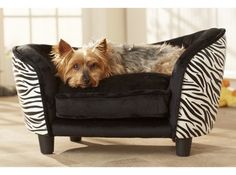 a small dog laying in a zebra print chair