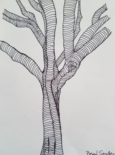 a pencil drawing of a tree with no leaves