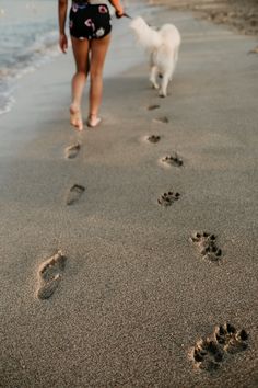 a woman walking on the beach with her dog and footprints in the sand near the water