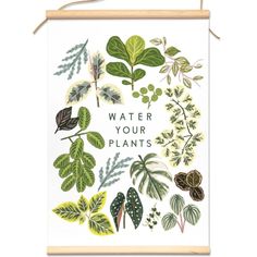 a card that says, water your plants on the front and back of it is surrounded by various types of leaves