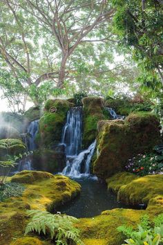 a small waterfall surrounded by mossy rocks and trees