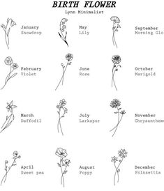 the birth flower chart for each month in which you can see different types of flowers