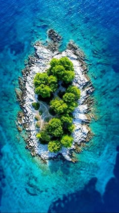 an island in the middle of water with trees growing out of it's sides