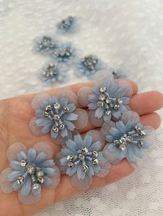 small blue flowers are being held in someone's hand