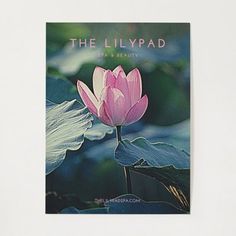 the lilypad has a beautiful pink flower on it