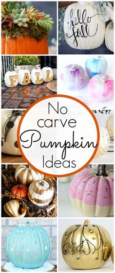 no carve pumpkin ideas for the fall and halloween season, including painted pumpkins