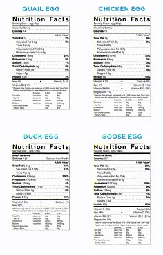 four different types of nutrition labels