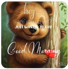 a brown bear holding onto a tree with the words, hey are you up yet? just want to say good morning