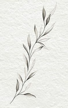 Olive Branch Tattoo, Wrap Around Tattoo, Around Arm Tattoo, Vine Tattoo, Wrap Tattoo, Branch Tattoo, Vine Tattoos, Classy Tattoos, Tattoo Arm