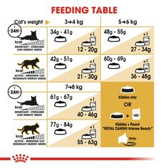 ROYAL CANIN® Bengal Adult Dry Cat Food - ZARDS PET SUPPLIES Reptile Shop, Healthy Cat Food, Asian Leopard Cat, Royal Canin, Leopard Cat, Healthy Cat, British Shorthair Cats, Animal Protein, Dry Cat Food