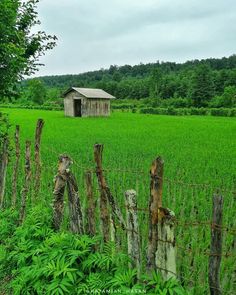 an old barn in the middle of a green field