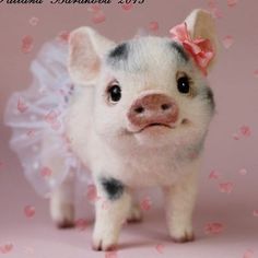 a small pig with a pink bow on it's head standing in front of hearts