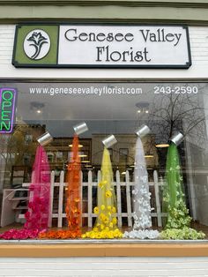 a store front window with many different colored umbrellas on display in the window and behind it is a sign that says geneese valley florist