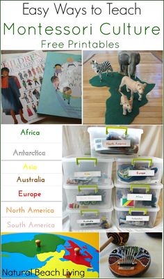 Easy Ways to Teach Montessori Culture with Free Printables, Continent Boxes, Multicultural Books and Activities including Zoology, Science, Botany, Geography, History, Art and Music Continent Boxes Montessori, Culture Activities For Kids, Montessori Culture, Continent Boxes, Multicultural Activities, Culture Activities, Geography Activities