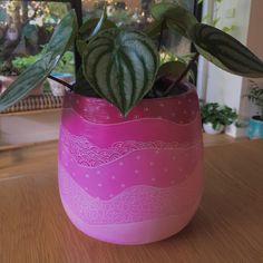 a potted plant sitting on top of a wooden table