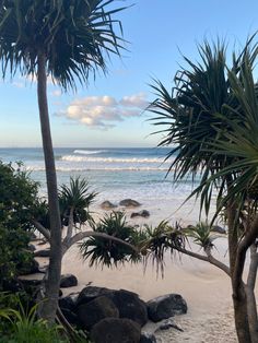 the beach is lined with palm trees and rocks, along with the ocean in the background