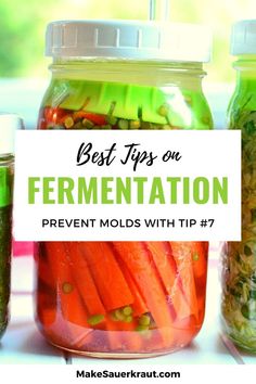 jars filled with pickled vegetables and the words best tips on fermentation prevent molds with tip 7