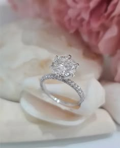 a diamond engagement ring sitting on top of a white shell next to pink flowers and petals