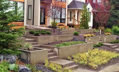 a row of houses next to each other with landscaping in the foreground and steps leading up to them