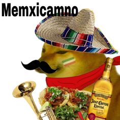 a dog wearing a sombrero and holding a bottle of tequila next to a trumpet