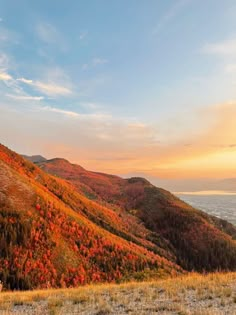 the sun is setting in the mountains with colorful trees