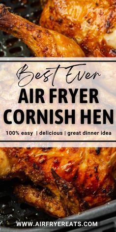 the best ever air fryer cornish hen