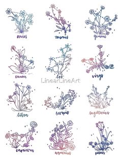 the zodiac signs are drawn in different colors and sizes, with flowers growing out of them