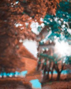 a blurry photo of trees in front of a blue sky with the sun shining through them