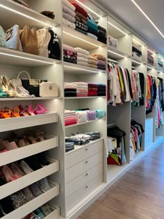 the closet is full of shoes and handbags for women to use in their wardrobes