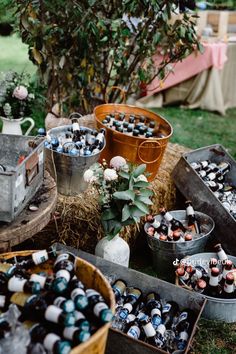 several buckets filled with wine bottles sitting on top of a grass covered field next to a tree