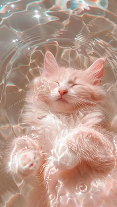 a white cat laying in water with its eyes closed