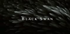 the words black swan are in front of an image of some leaves and branches on a dark background