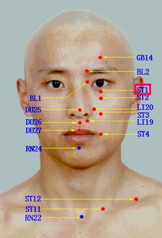 Acupuncture points on the face. Chinese Acupuncture, Traditional Chinese Medicine Acupuncture, Acupuncture Points Chart, Body Chart