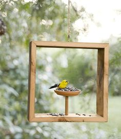 a bird feeder hanging from a tree in front of a window filled with water and gravel