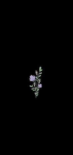 a black background with some flowers on it